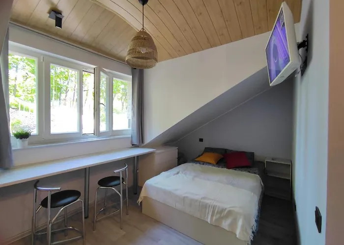 Cosy Apartments In Vilnius Center